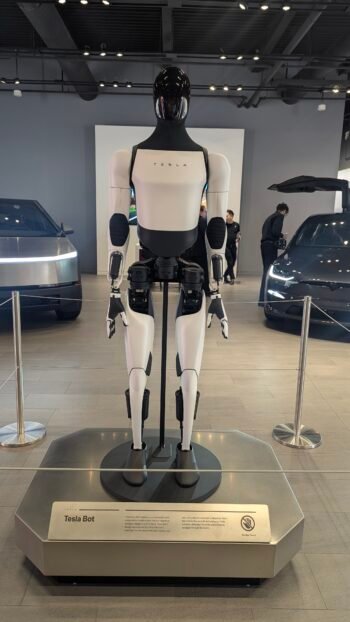 Robot Optimus en showroom de Tesla